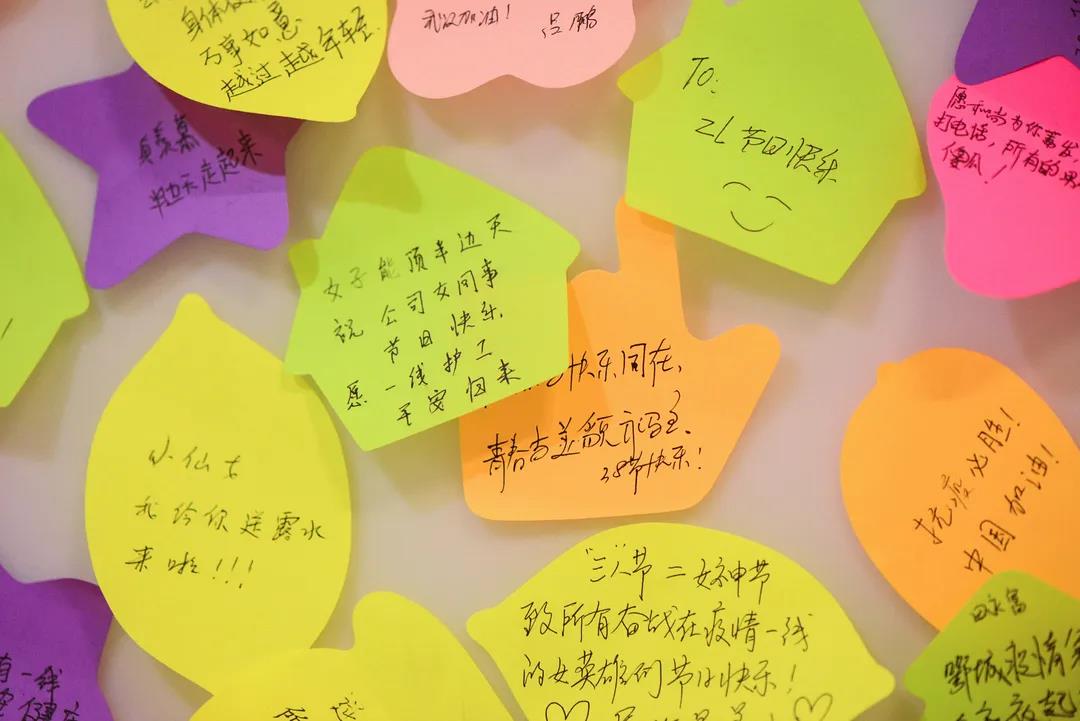 1583719054634631MLxD.jpg 1583719054634631MLxD.jpg