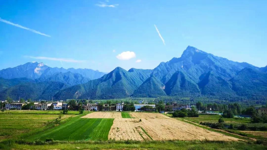 1609407828416725ZNVe.jpg 1609407828416725ZNVe.jpg