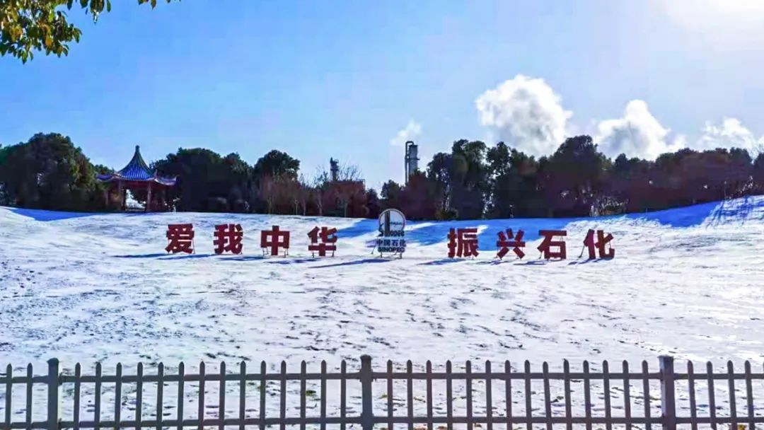 1614222618269911gUbw.png 1614222618269911gUbw.png