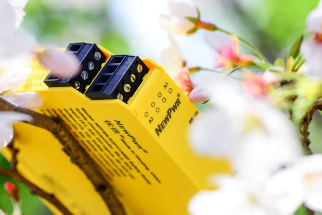 1616998360409253AM7r.png 1616998360409253AM7r.png