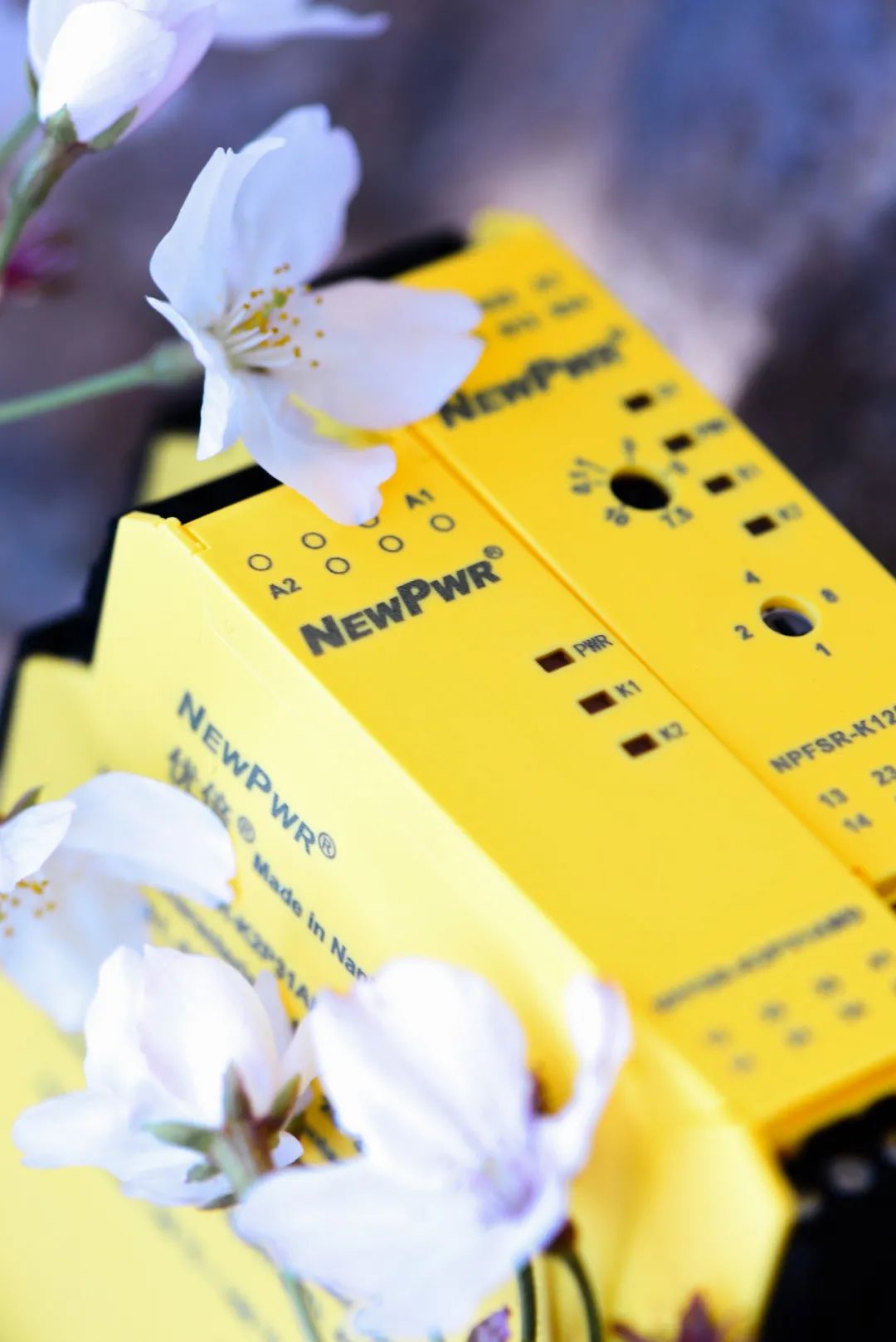 1616998995709041O9ij.jpg 1616998995709041O9ij.jpg